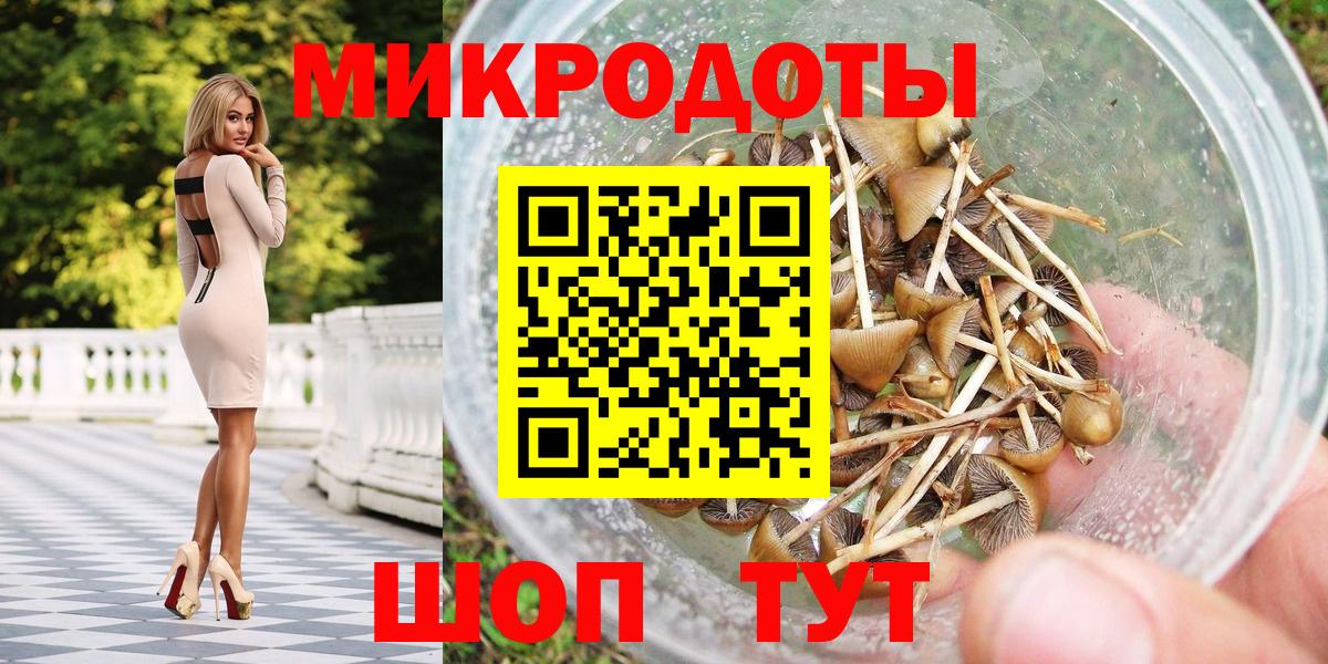 Галлюциногенные грибы Psilocybe Чехов