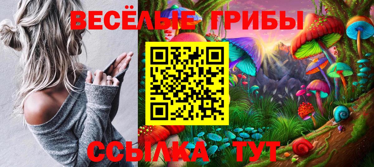 где найти наркотики  Вход с VPN  Чехов  Псилоцибиновые грибы мухоморы 